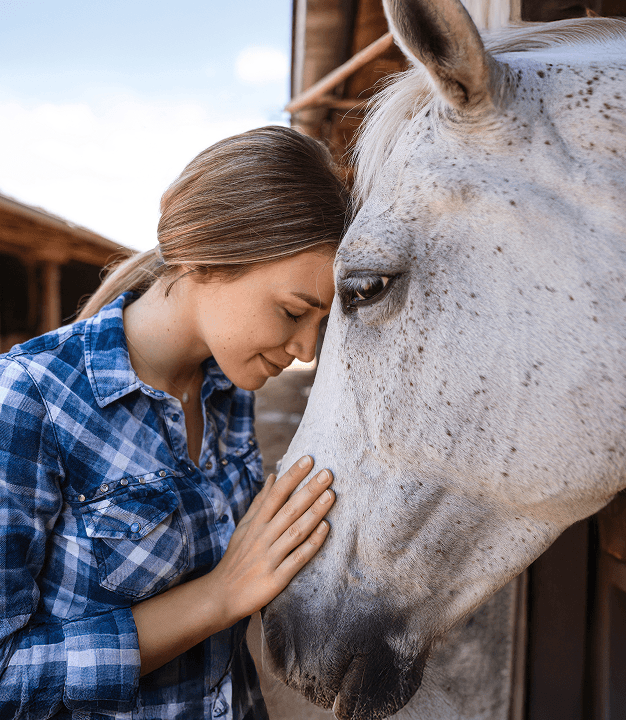 человек и лошадь
